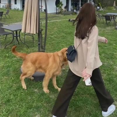 史坦顿岛往事